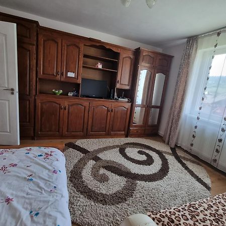 Garsoniera Emilia Lägenhet Câmpulung Moldovenesc Exteriör bild